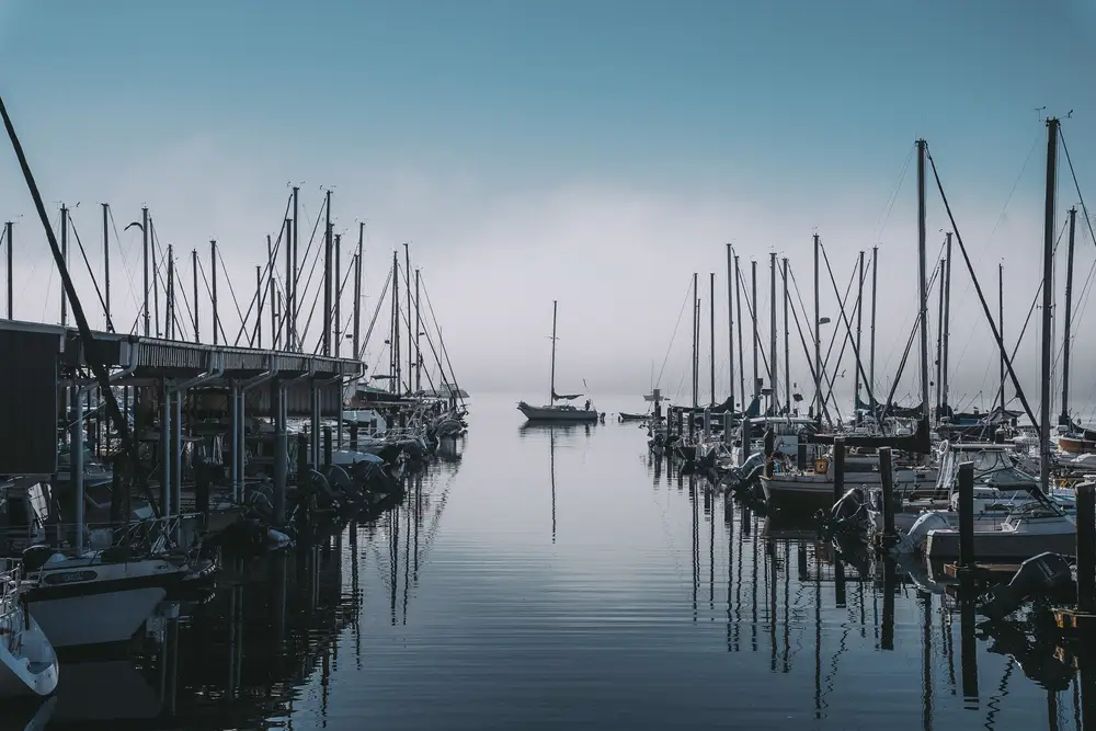 A marina at dawn with boats and masts in light mist