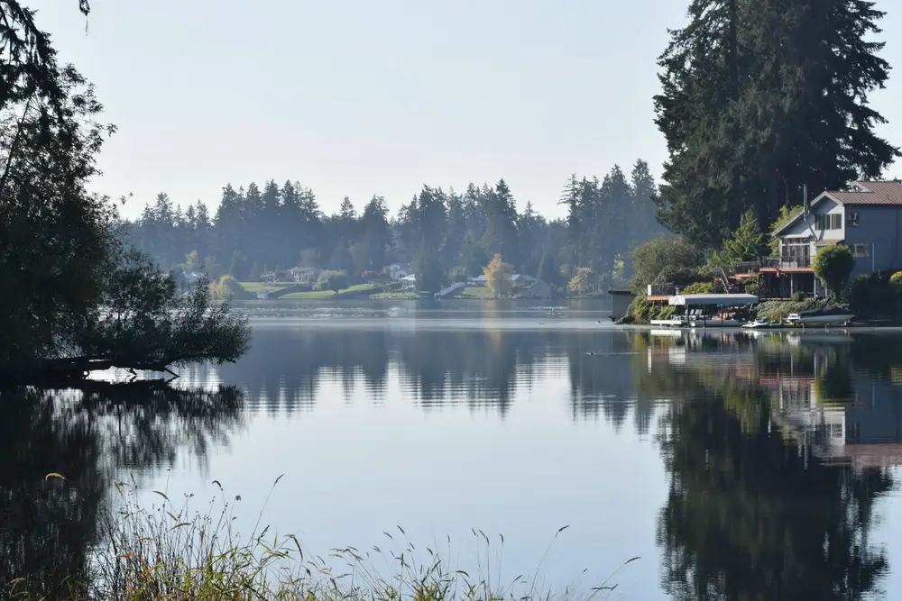 Still water and a wooded shoreline with houses at the waterline