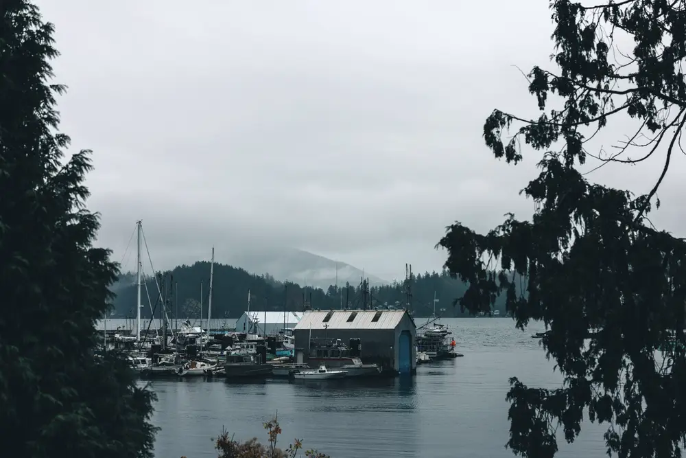 A small marina and boathouse seen between fir branches on a grey morning