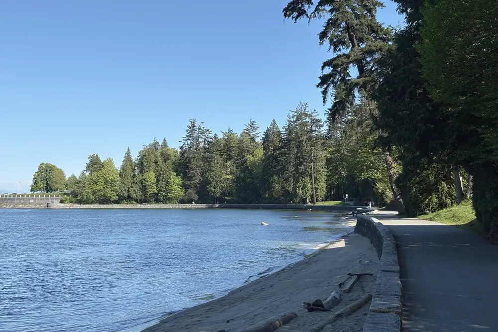 A sunny beach and forested point along calm water