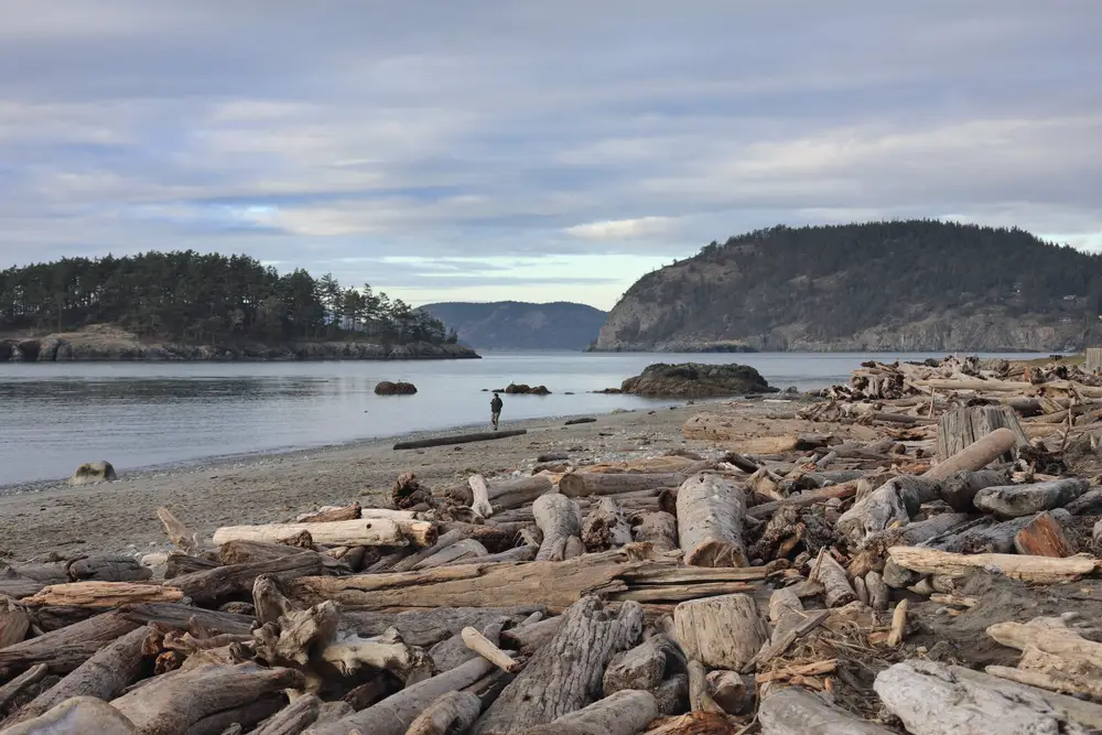 Driftwood on a rocky beach under a cloudy sky